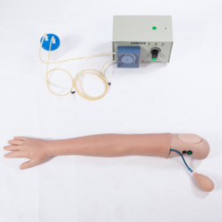 血液透析模拟手臂模型