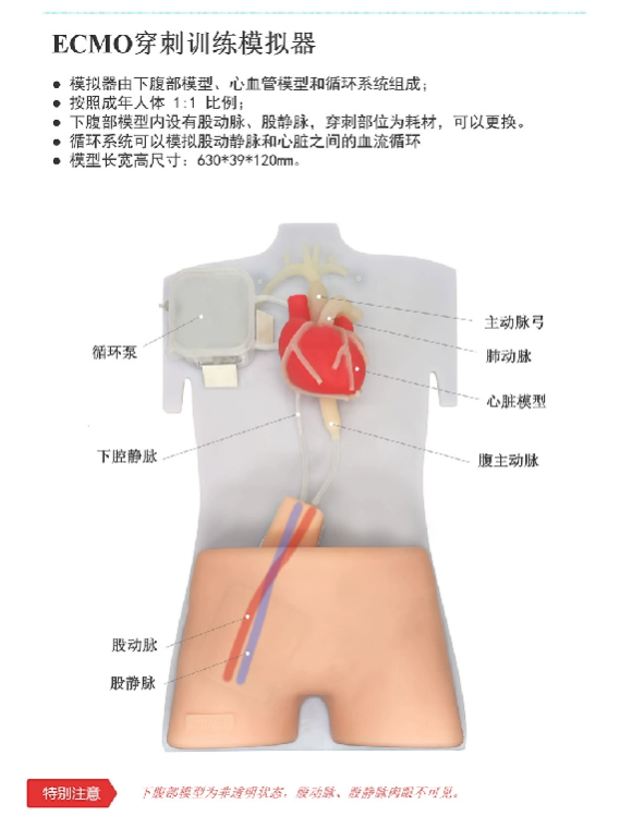 ECMO训练模拟器