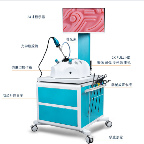 仿生型腹腔镜手术模拟训练器-2K光学影像系统版