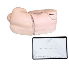 交互式腰椎穿刺操作训练系统