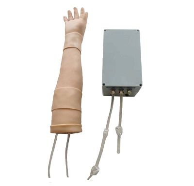 自动荧光显像/隐退的动脉穿刺训练手臂模型