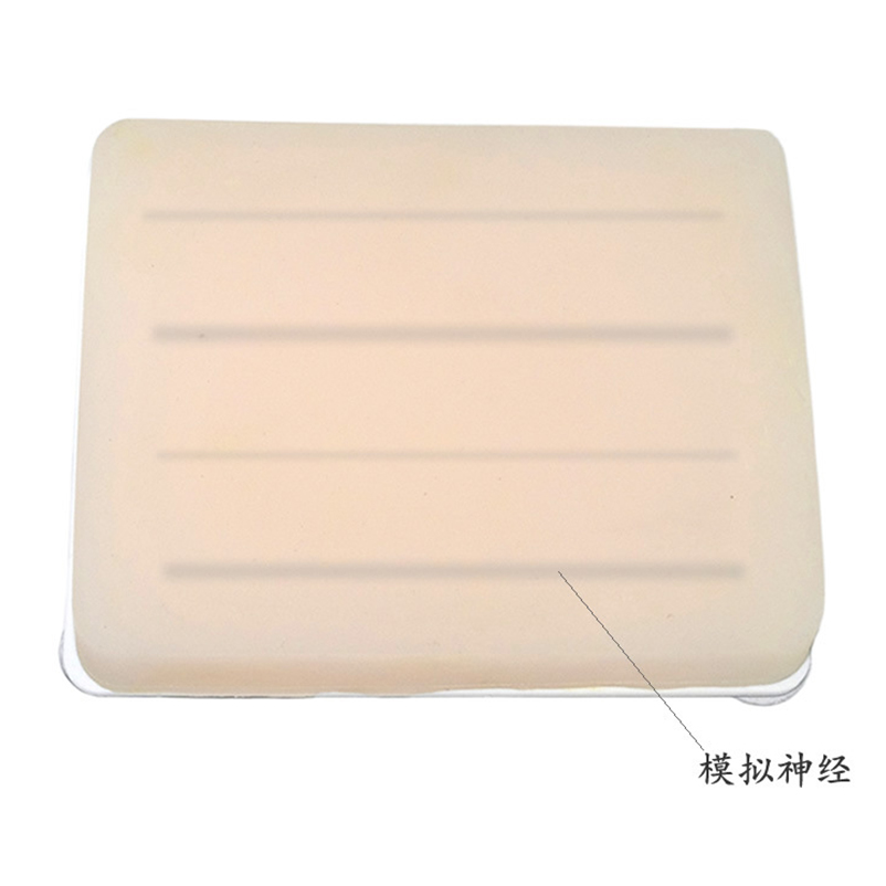 超声引导下神经阻滞注射模型