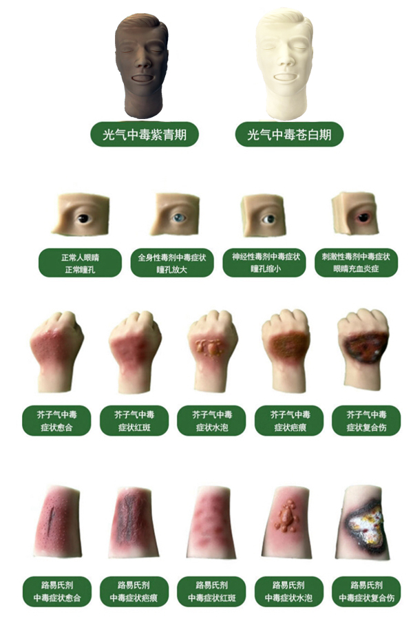 人员中毒仿真模型