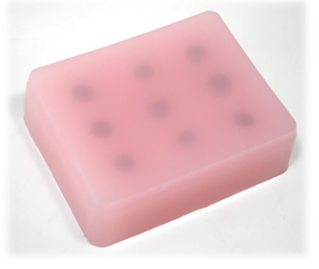 超声引导下体表肿瘤模型