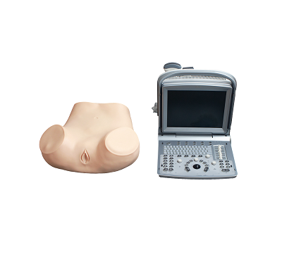 超声下羊膜腔穿刺技能训练考核模型