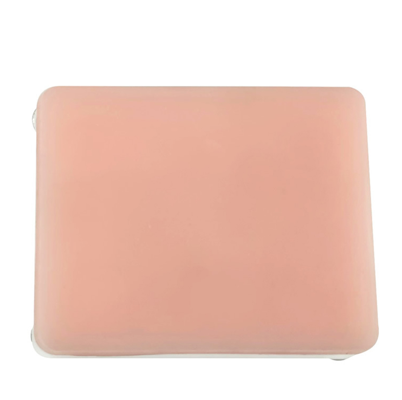 伴行血管的肿瘤模型