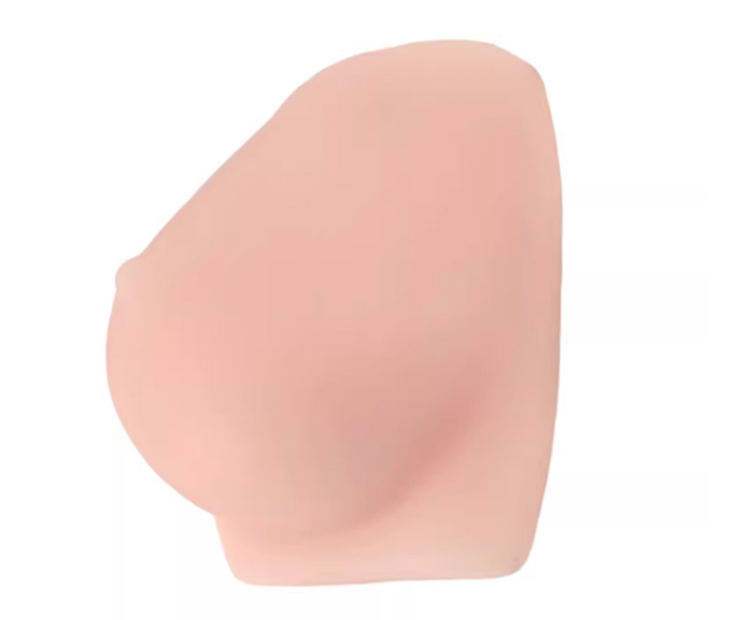 超声引导下乳房肿瘤模型