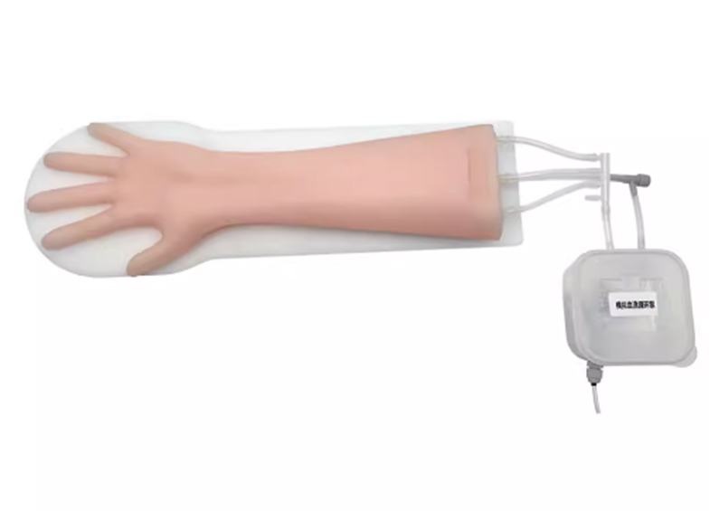 超声引导下动静脉瘘穿刺模型