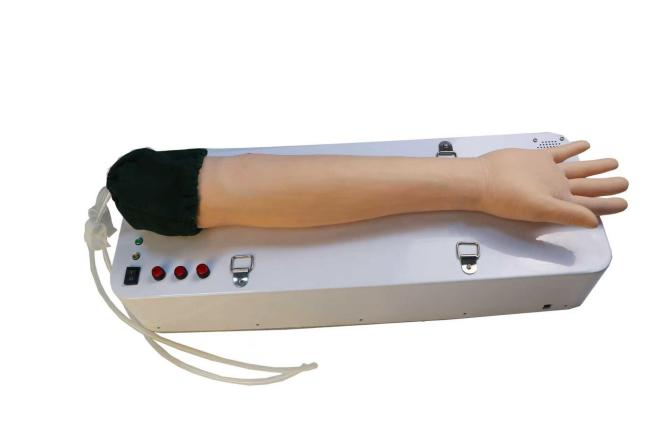 高仿真成人股动脉股静脉穿刺模型