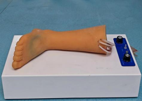 高仿真成人足背动脉及静脉穿刺练习模型