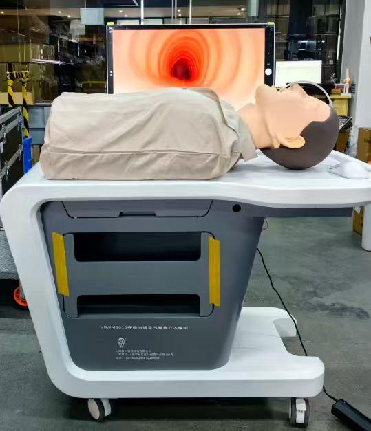 呼吸内镜支气管镜介入模型