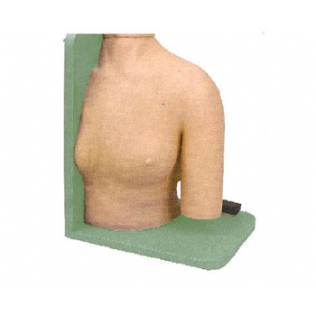 JD/CK20133肩关节腔内注射模型