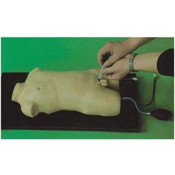 JD/H3218儿童股静脉与股动脉穿刺训练模型