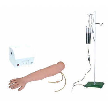 高级手臂静脉穿刺及肌肉注射训练模型（带循环装置）