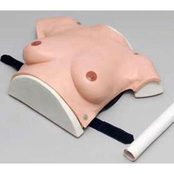 高级着装式乳房自检模型