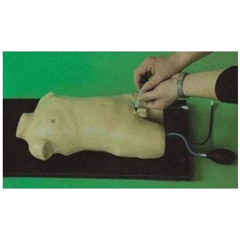 股静脉与股动脉穿刺训练模型