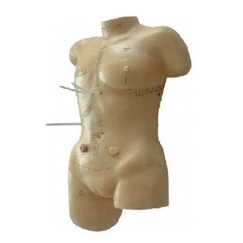 外科缝合包扎展示模型