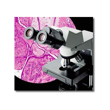 奥林巴斯显微镜CX31
