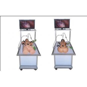 宫腔镜手术模拟器