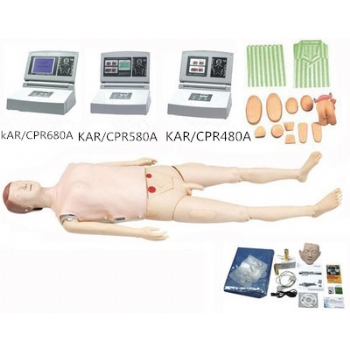 多种型号高级功能护理急救训练模拟人（心肺复苏、基础护理男女导尿、手臂静脉穿刺及肌肉注射）