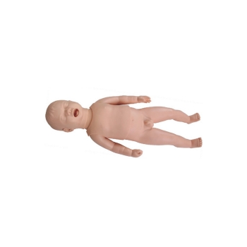 新生儿体格检查训练模型