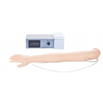 高级静脉穿刺注射操作手臂模型 （国赛指定产品）